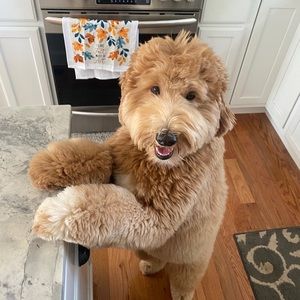 Meet your Posher, Heather